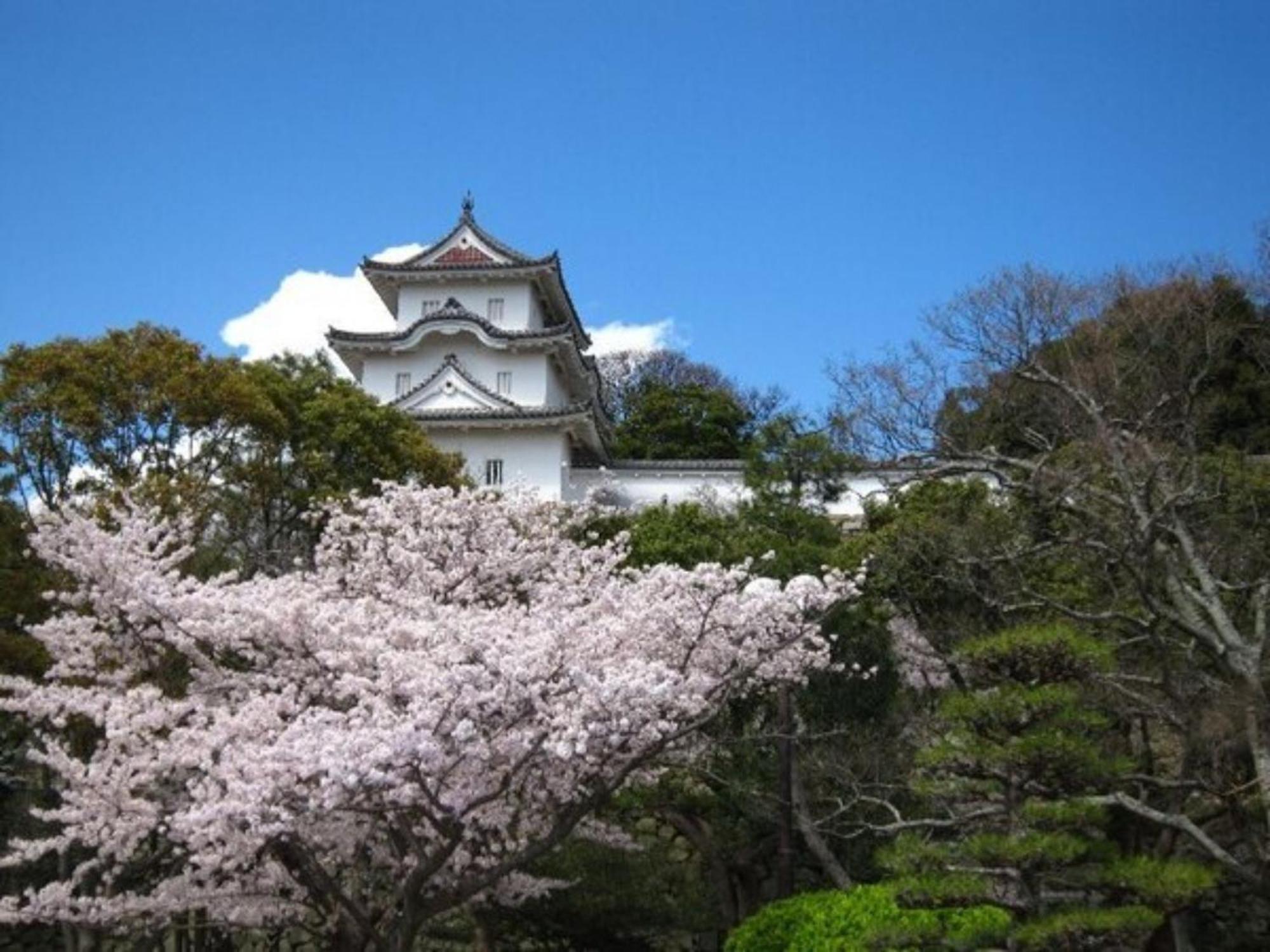 Akashi Castle Hotel - Vacation Stay 83571 Exterior foto